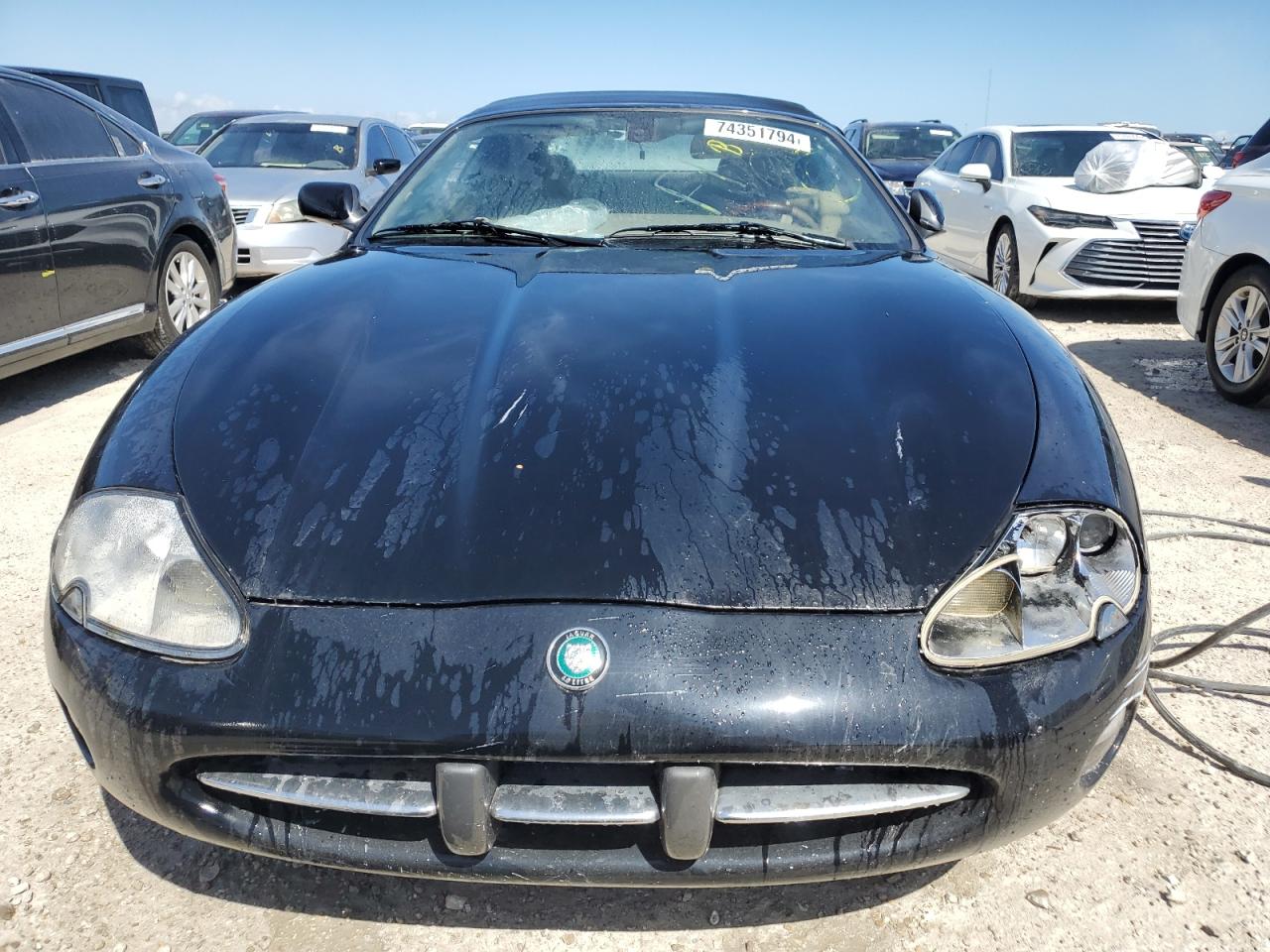 Lot #3026360302 2002 JAGUAR XK8