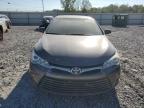 TOYOTA CAMRY LE photo