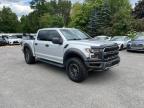 FORD F150 RAPTO photo