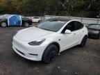 2024 TESLA MODEL Y - 7SAYGDEE3RA261440