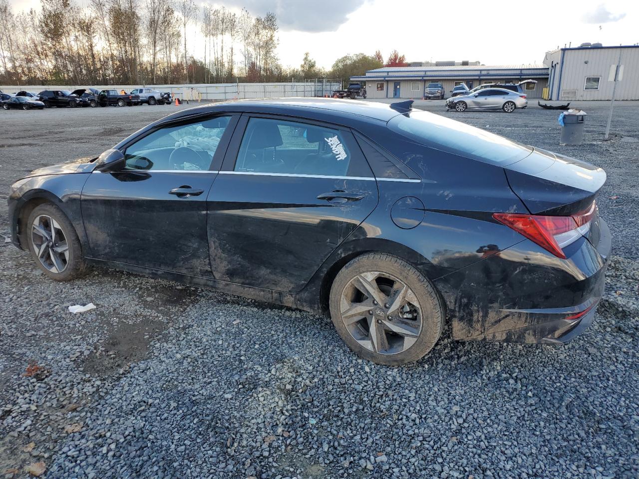 Lot #2972533998 2023 HYUNDAI ELANTRA LI