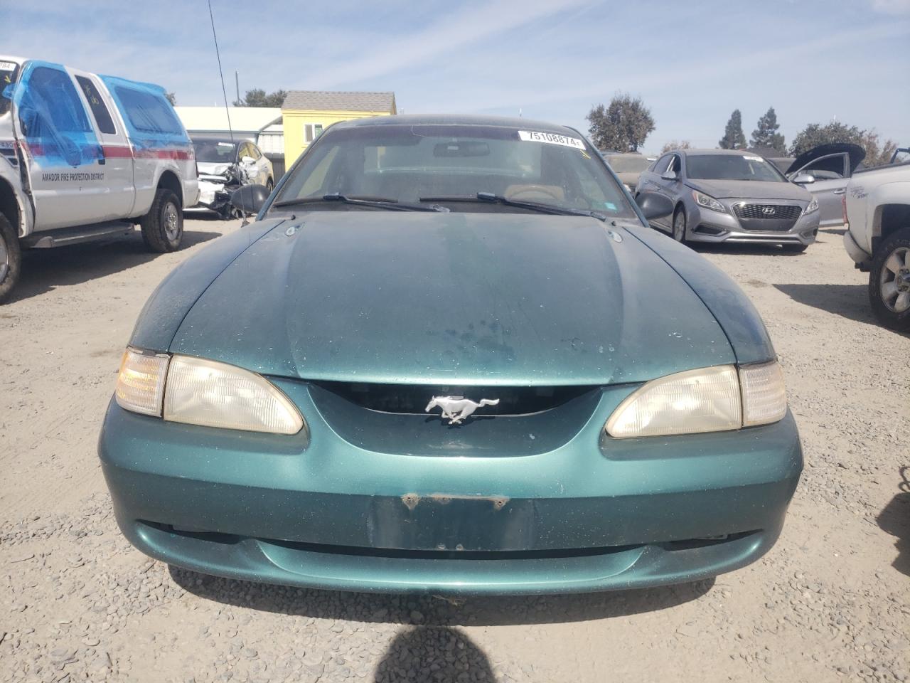 Lot #2957421382 1998 FORD MUSTANG