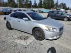 NISSAN MAXIMA S photo