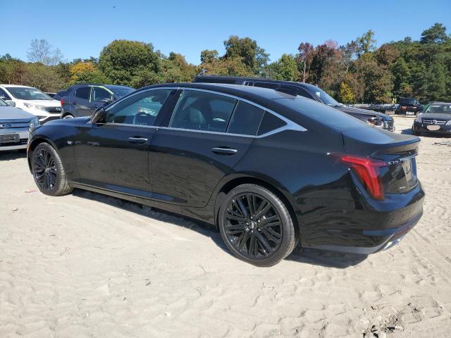 2025 CADILLAC CT5 LUXURY - 1G6DS5RW4S0100284