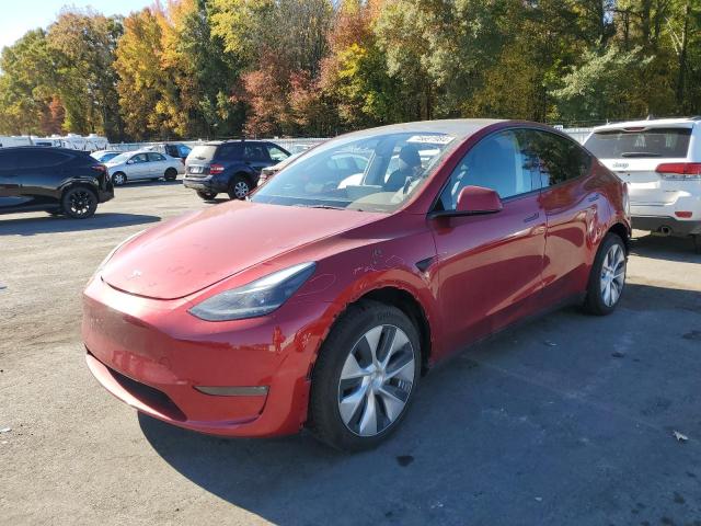 2024 TESLA MODEL Y - 7SAYGAEE8RF026436