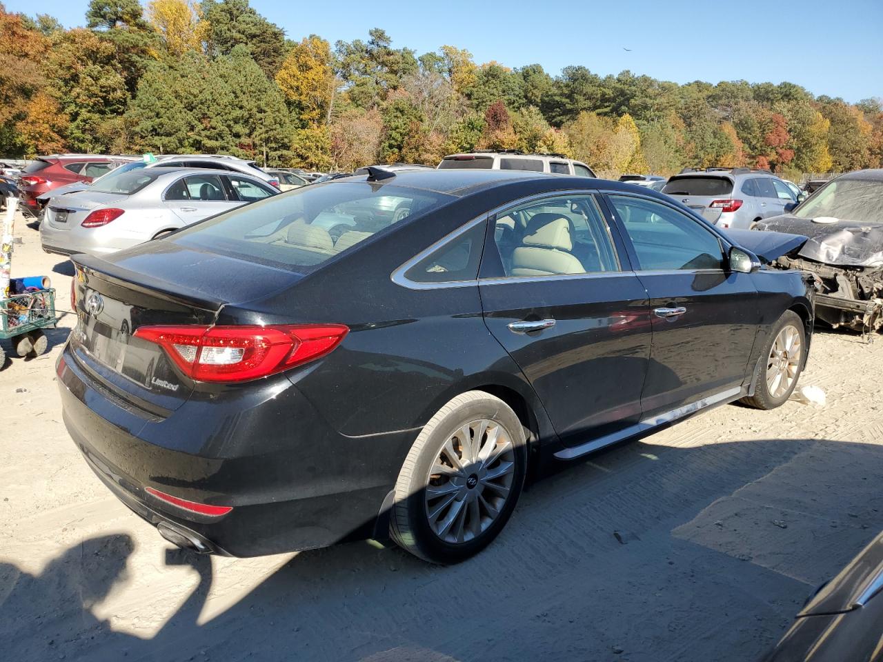 Lot #2994183459 2015 HYUNDAI SONATA SPO