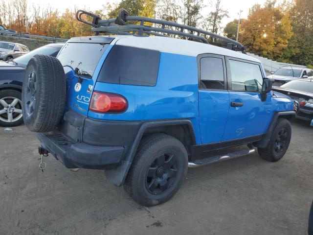 TOYOTA FJ CRUISER 2007 blue  gas JTEBU11F770008527 photo #4