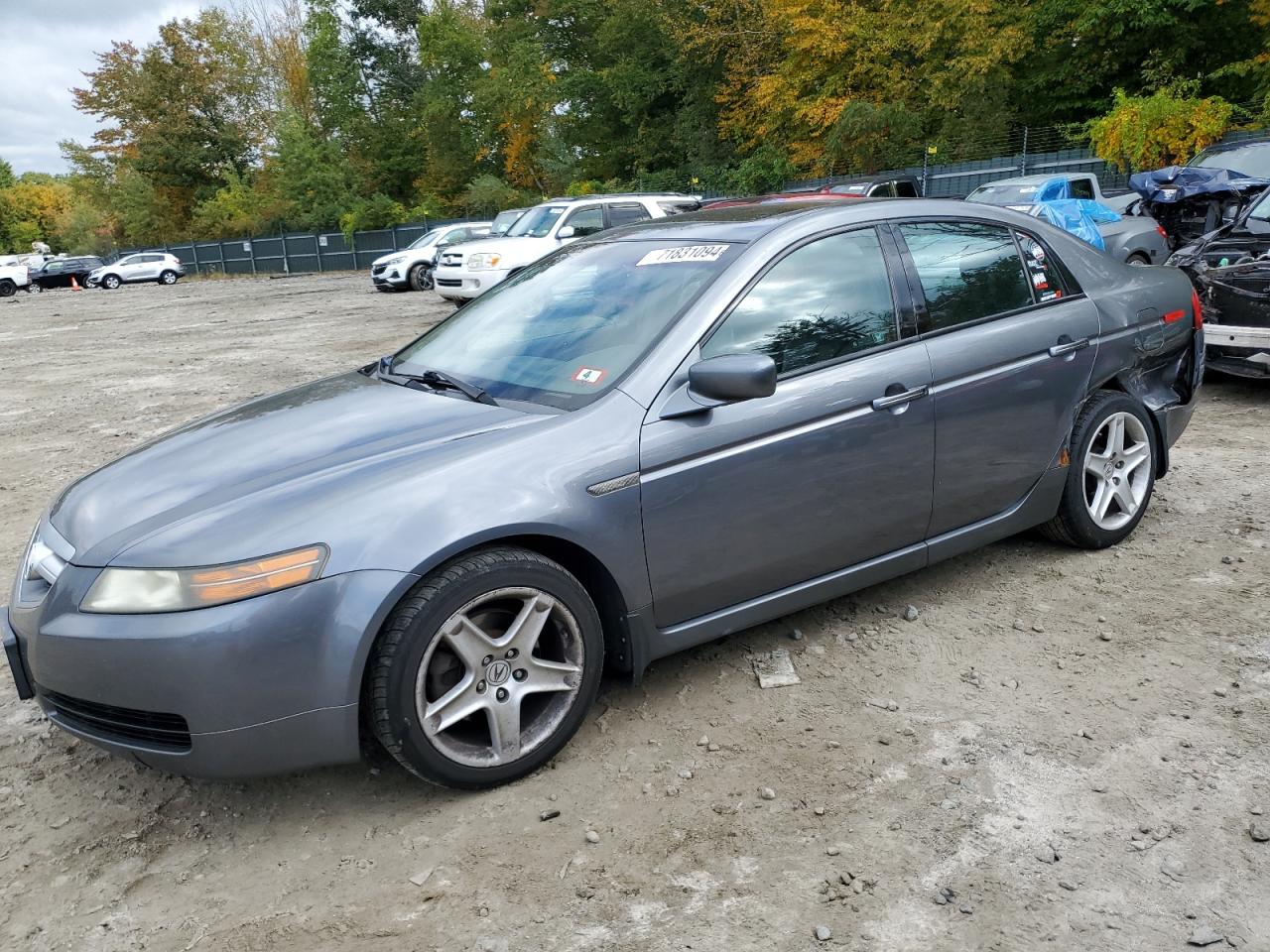 Acura TL 2006 BASE