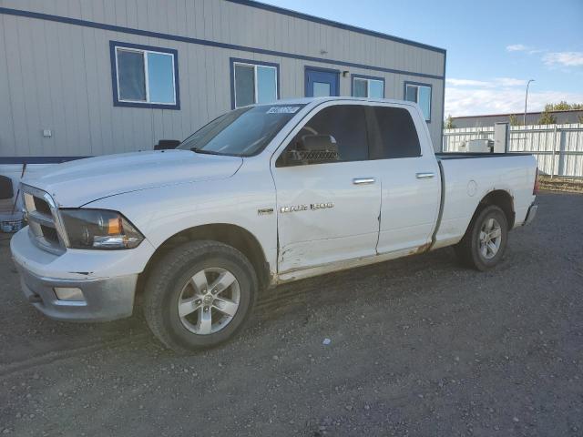 2011 DODGE RAM 1500 #3023659934