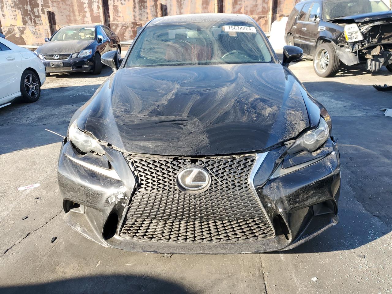 Lot #2921221498 2014 LEXUS IS 250