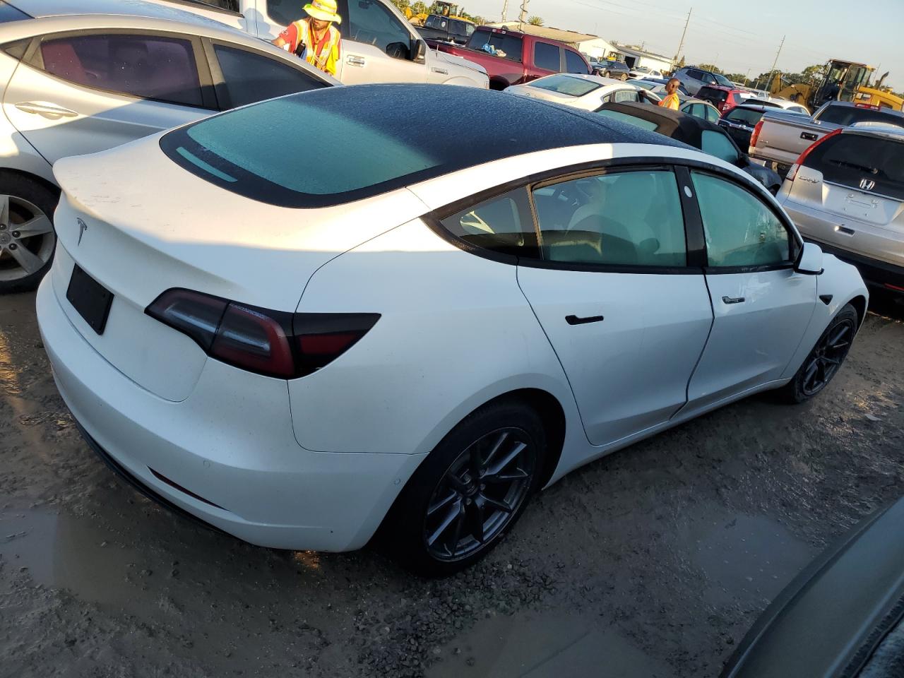 Lot #2955589838 2021 TESLA MODEL 3