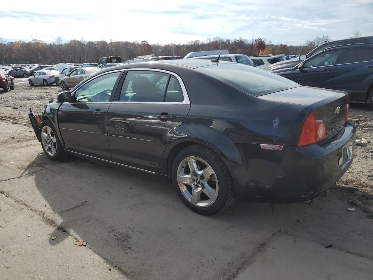 Lot #3048580919 2010 CHEVROLET MALIBU 1LT