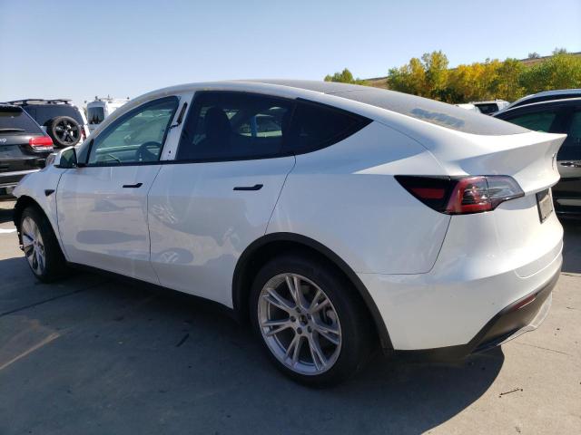 2023 TESLA MODEL Y - 7SAYGDEE2PF703494