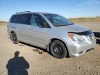 HONDA ODYSSEY EX снимка