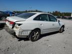 Lot #3027327283 2006 HYUNDAI AZERA SE