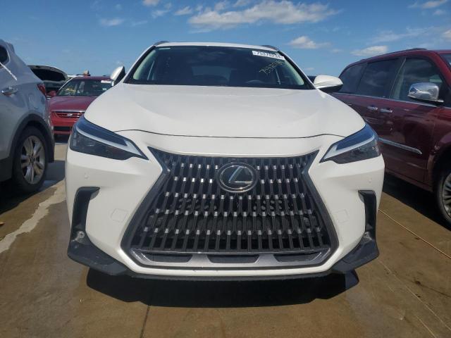 2024 LEXUS NX 250 PRE 2T2GDCAZ7RC007723