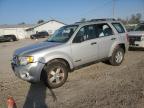 FORD ESCAPE XLS photo