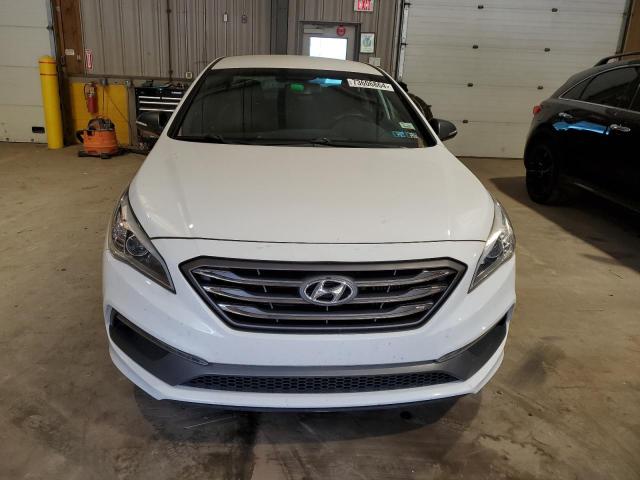 2017 HYUNDAI SONATA SPO - 5NPE34AB8HH561646