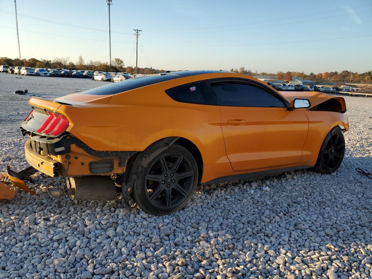 Lot #3020673930 2019 FORD MUSTANG