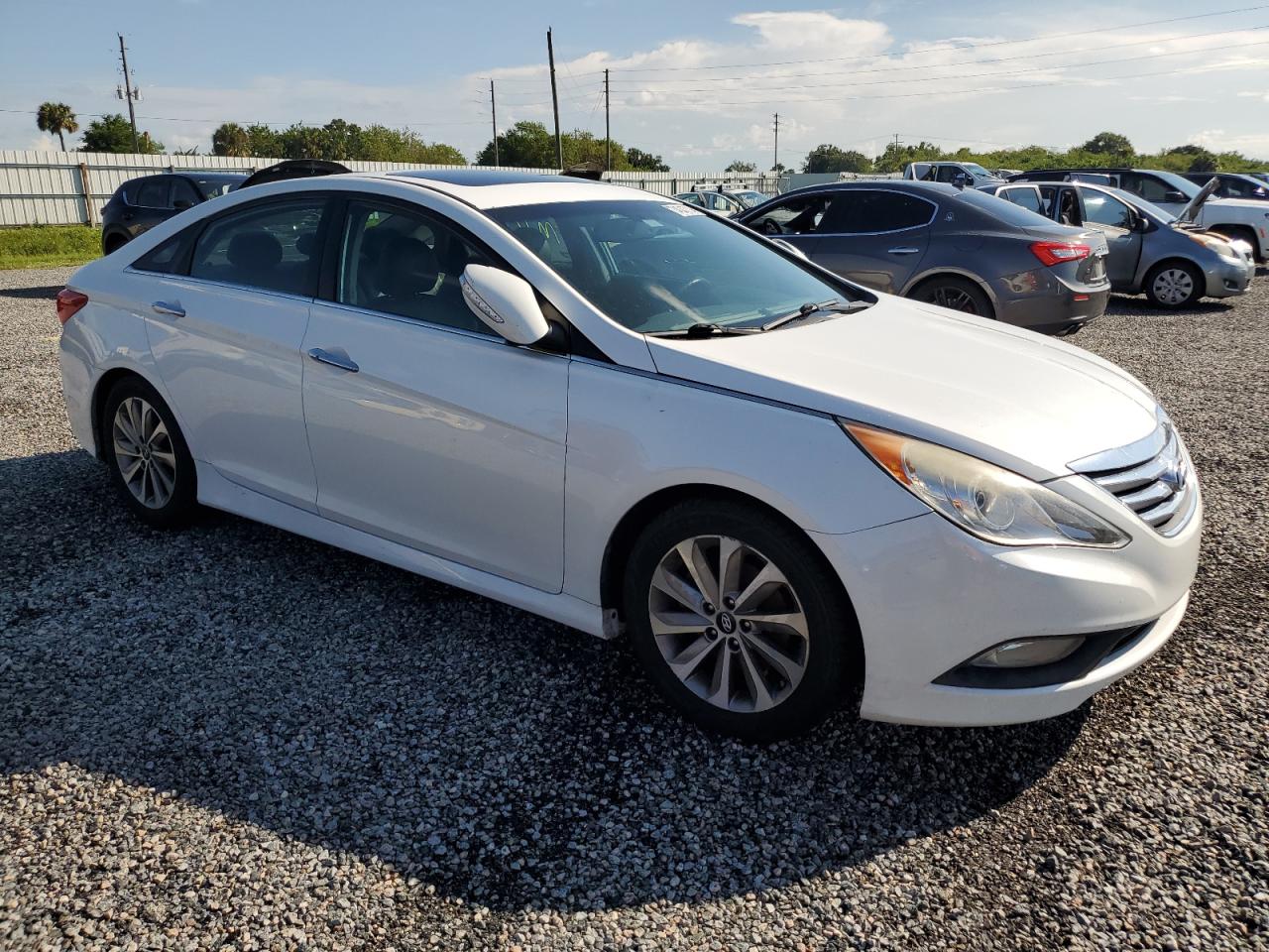 Lot #2885200949 2014 HYUNDAI SONATA SE