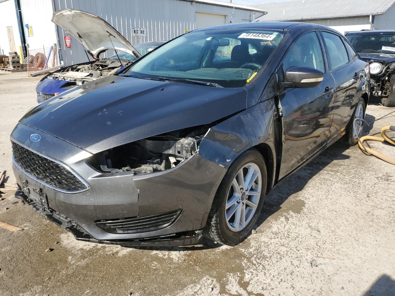 Lot #2940711417 2017 FORD FOCUS SE