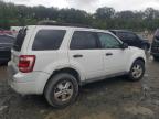 Lot #3024832357 2010 FORD ESCAPE XLT