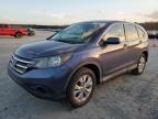 HONDA CR-V EX 2HKRM3H50DH508930 photo