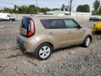 KIA SOUL photo