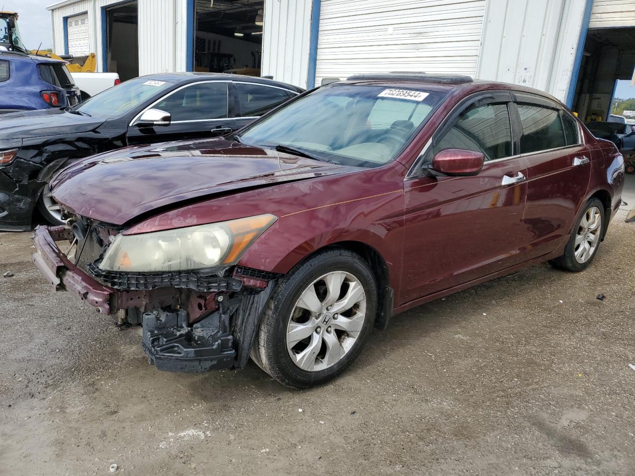 Lot #2956338005 2008 HONDA ACCORD EXL