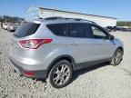 Lot #3023460293 2013 FORD ESCAPE SE