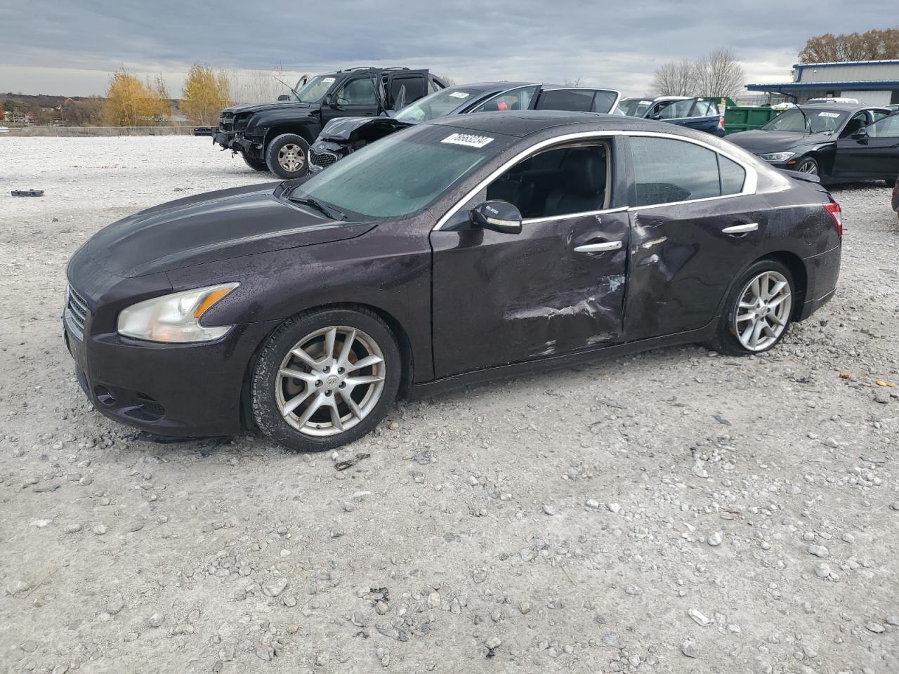 Lot #2952988383 2010 NISSAN MAXIMA S