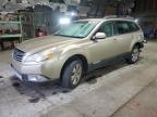 SUBARU OUTBACK 3. photo