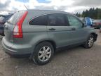 HONDA CR-V SE photo