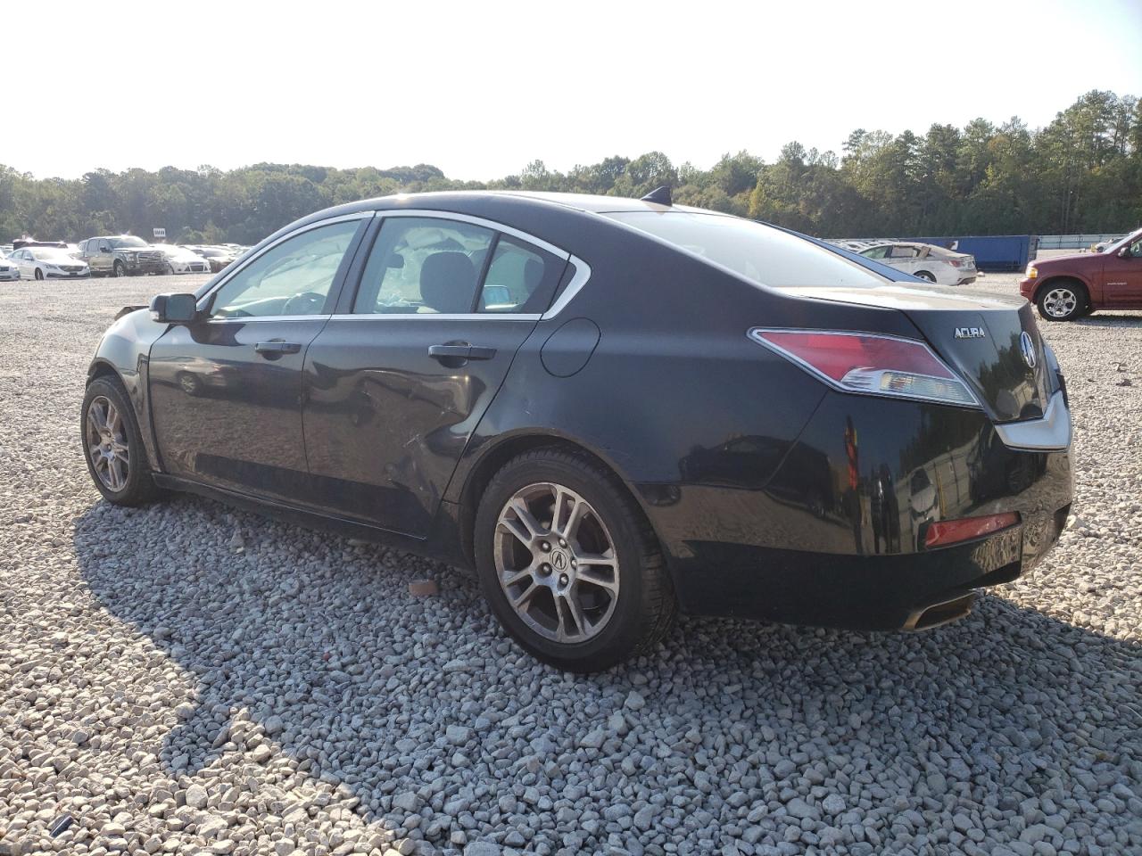 Lot #2943221420 2010 ACURA TL