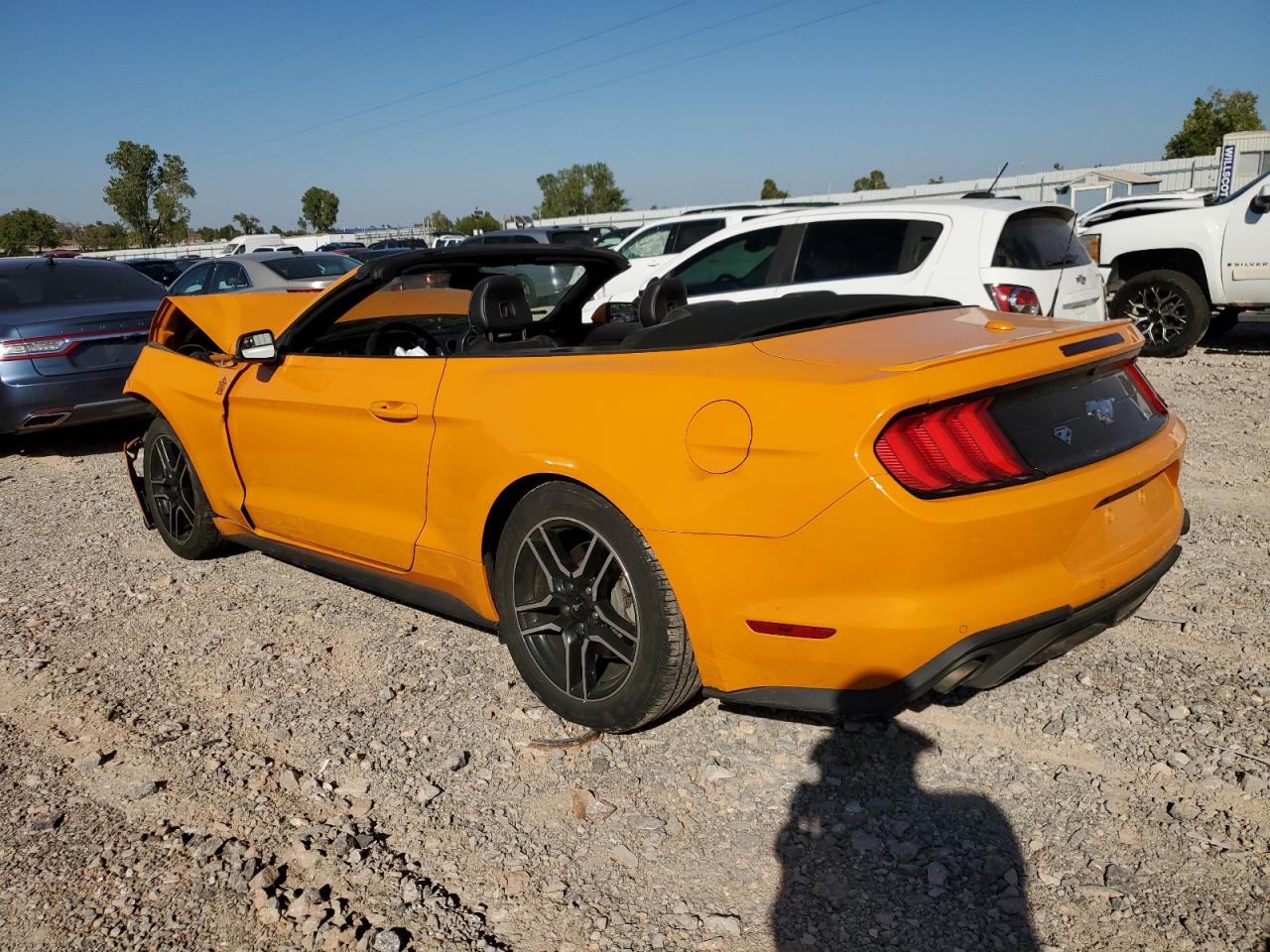 Lot #2891036245 2019 FORD MUSTANG