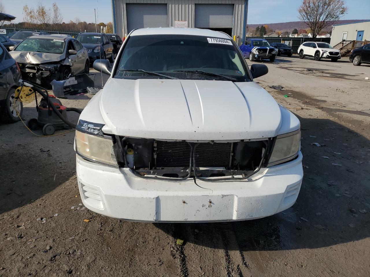 Lot #3026043983 2008 DODGE DAKOTA QUA