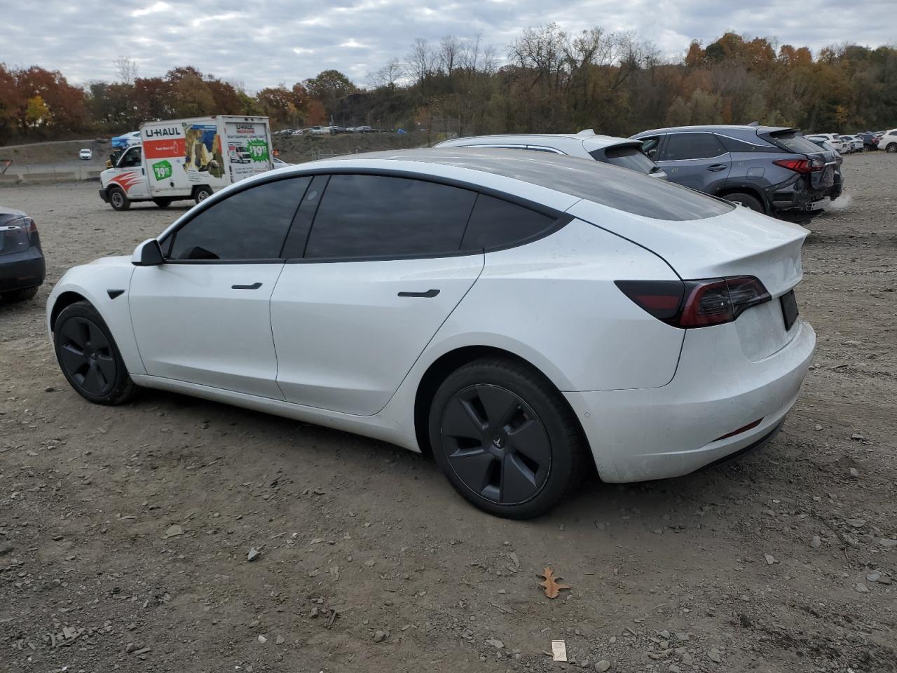 Lot #2994088389 2022 TESLA MODEL 3