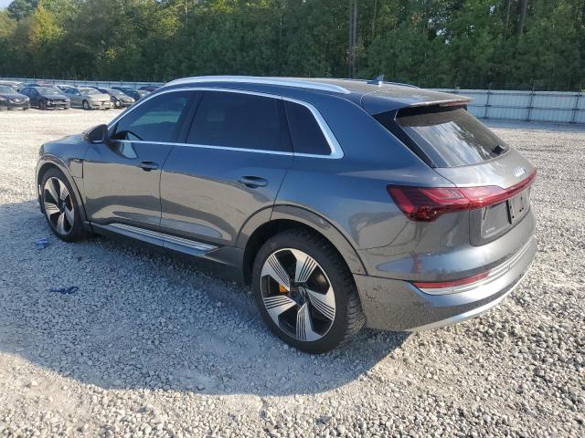 AUDI E-TRON CHR 2019 gray  electric WA1VAAGE1KB006711 photo #3