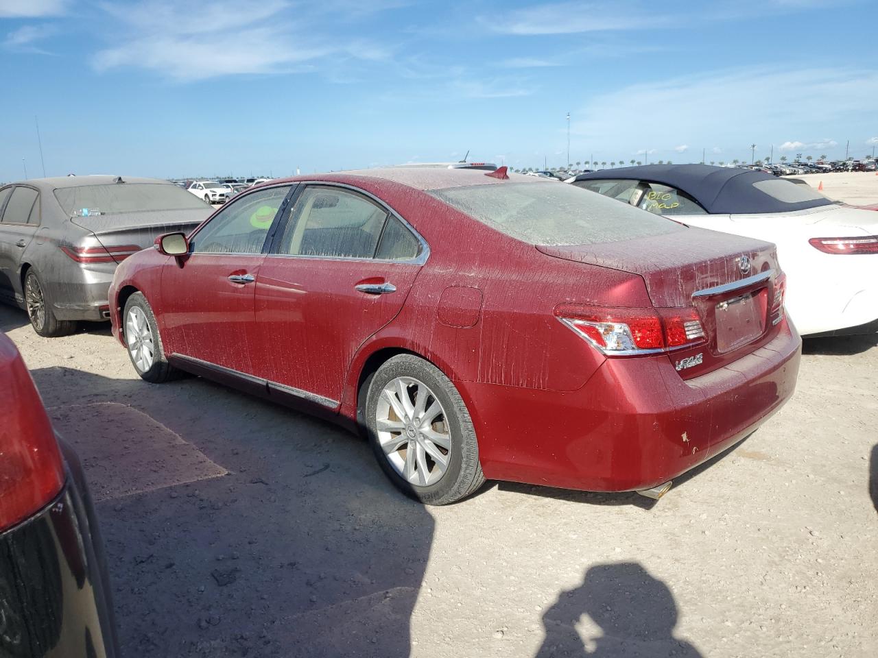 Lot #2921641115 2010 LEXUS ES 350