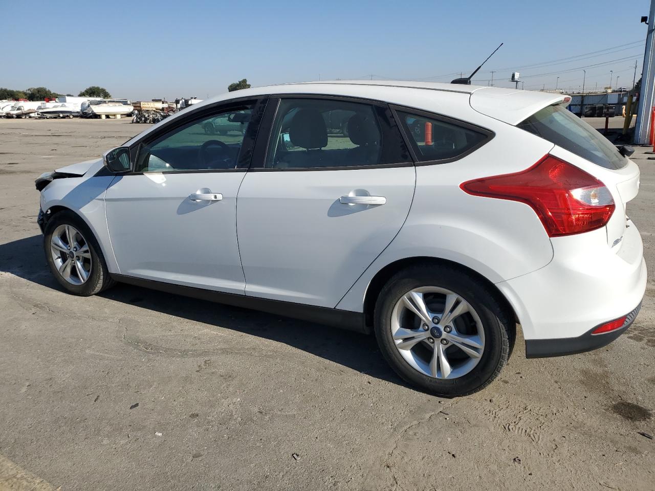 Lot #2912058624 2013 FORD FOCUS SE