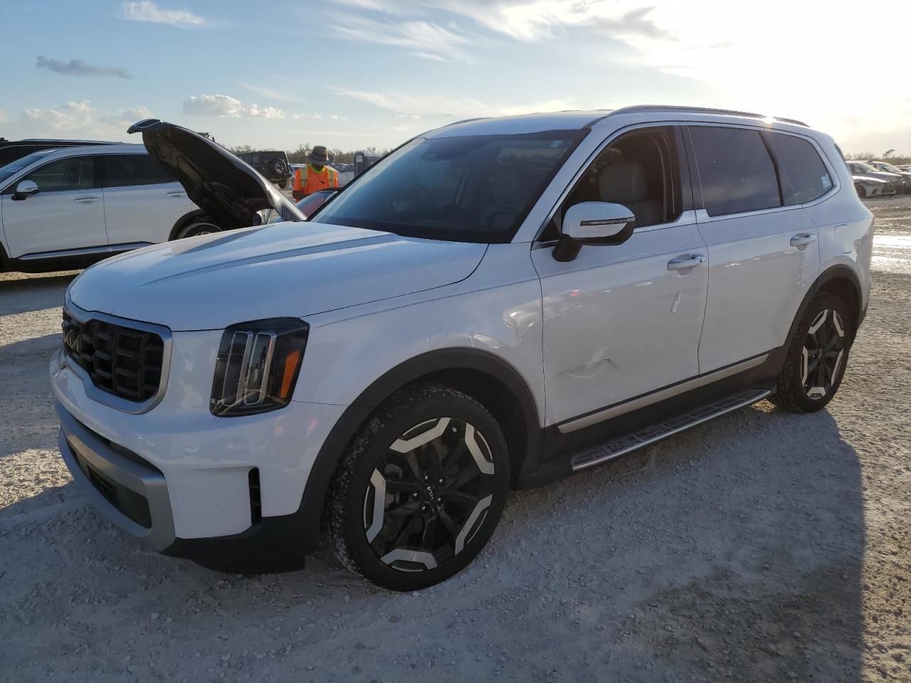 Lot #2990733986 2023 KIA TELLURIDE