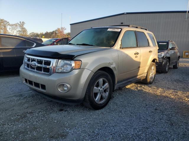 2011 FORD ESCAPE XLT #3023046091