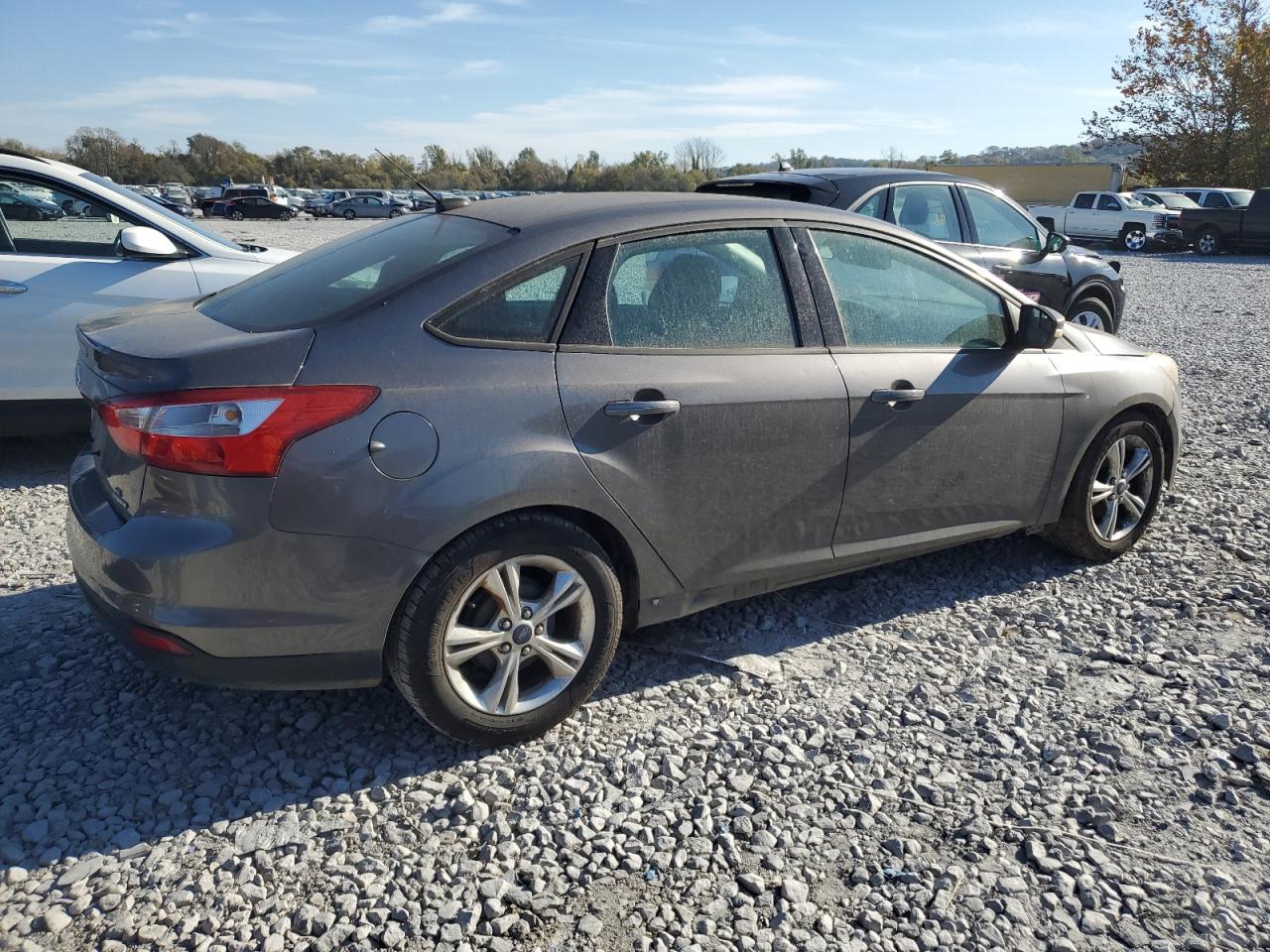 Lot #2940219463 2014 FORD FOCUS SE