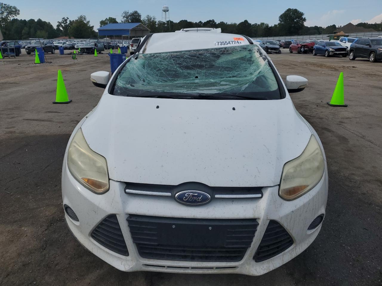 Lot #2907353975 2014 FORD FOCUS SE