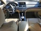 Lot #3025211679 2010 HONDA ACCORD EXL