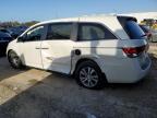 HONDA ODYSSEY EX photo