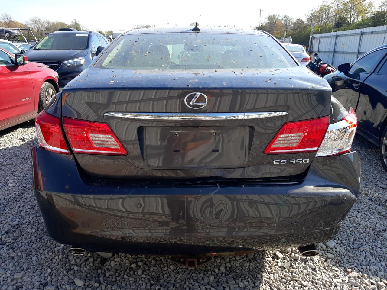 Lot #2952916825 2011 LEXUS ES 350