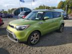 KIA SOUL + photo