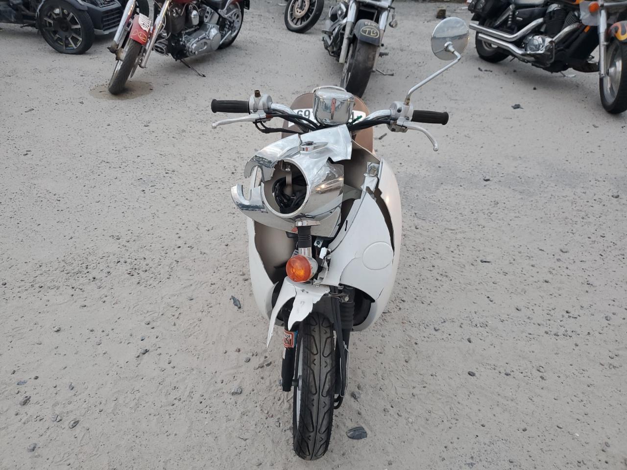 Global Auto Auctions