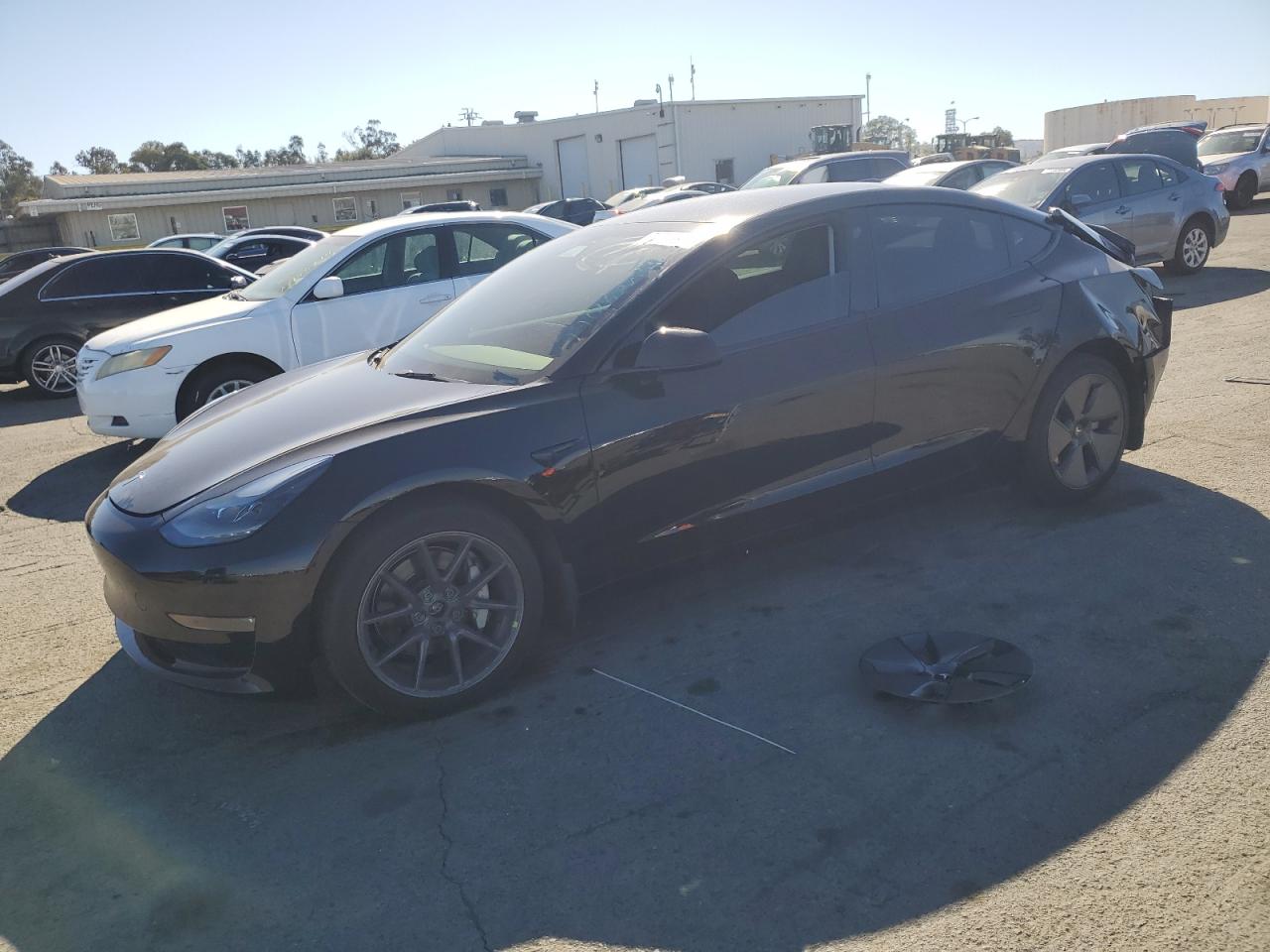 Lot #2986958859 2021 TESLA MODEL 3